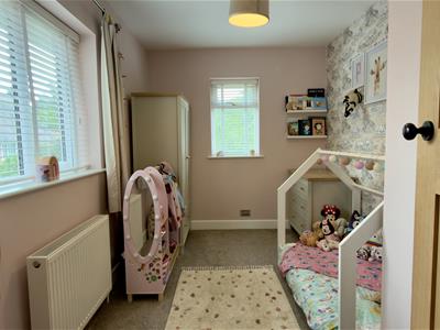 Picture 24